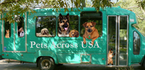 Green Bus