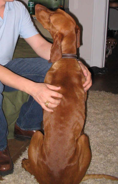 Laszlo BEFORE