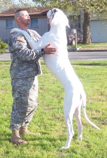 Sgt. Bradstream saying goodbye
to his dog Thor